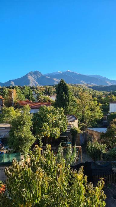 Le Cocon En Coeur De Ville Prades  Bagian luar foto